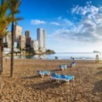 Free child place holidays
