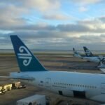 Lufthansa’s “Green Fares” Gain Popularity as Sustainable Travel Option