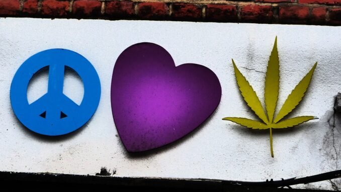 cannabis thailand
