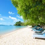 Sustain Living  Eco-Friendly Habits for a Greener Planet