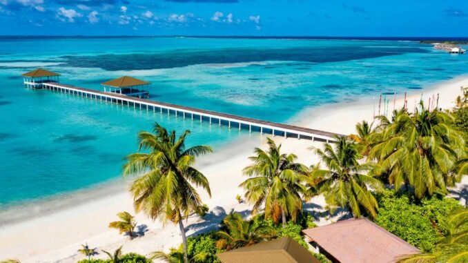 South Palm Maldives offer