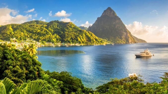 FB_IMG_1732617900507 Caribbean Multi-Centre