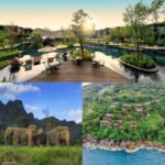 40% OFF + FREE Upgrade to Half-Board Dine Around,Access to 130 Restaurants at Le Royal Meridien from £1555pp