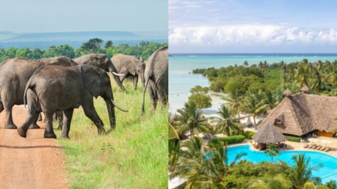 Kenya Camping Safari and White Paradise Zanzibar