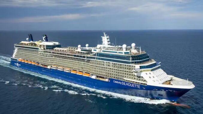 Celebrity Silhouette