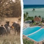 Manta Lodge & Dive Centre, Tobago